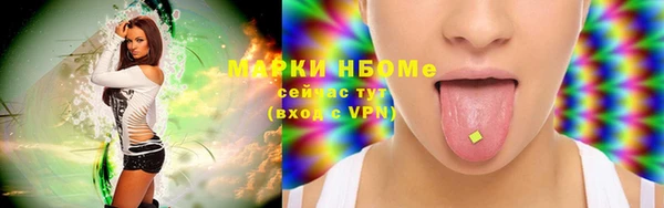 молекула духа Арсеньев