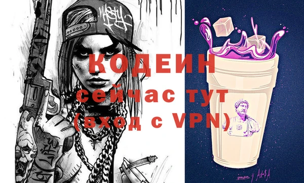 молекула духа Арсеньев