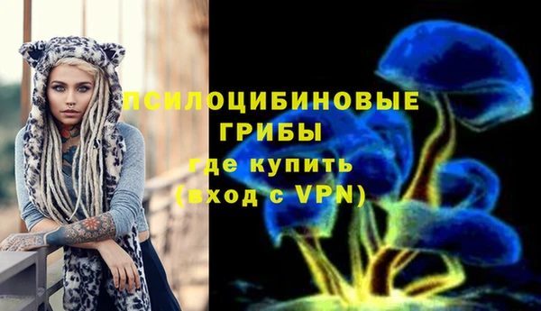 молекула духа Арсеньев