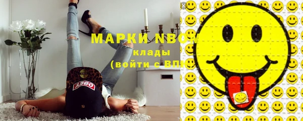 молекула духа Арсеньев