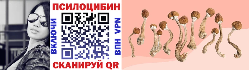Псилоцибиновые грибы прущие грибы  сколько стоит  Талица 